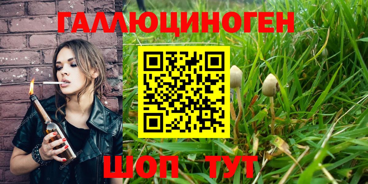Рассказово  Псилоцибиновые грибы Magic Shrooms  Галлюциногенные грибы MAGIC MUSHROOMS  Вход с VPN 